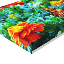 Butterfly Stretched Canvas Prints