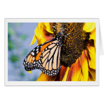 butterfly sunflower cards