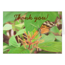 butterfly, Thank you! Cards