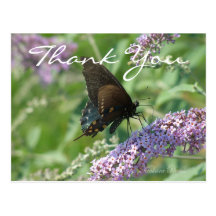 Butterfly Thank You-customize Post Card