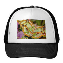 Butterfly Trucker Hat