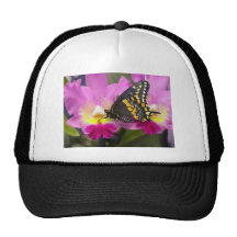 Butterfly Trucker Hats