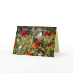 Butterfly Valentine's Day Card