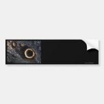 butterfly wing bumper sticker