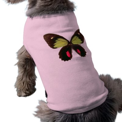 BUTTERFLY WING DOG SHIRT by colts1673