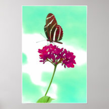 Butterfly Wisdom - Lesson 2 Print