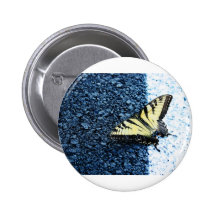 Butterly Pins