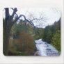 BUTTERMILK FALLS, ITHACA, NEW YORK mouse pad