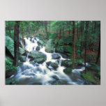 Buttermilk Falls Plymouth posters