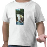 Buttermilk Farms State Park Lower Falls View Tshirt