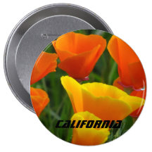 Button - California poppies