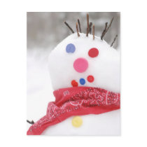 Button-Eyed Snowman