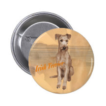 Button "Irish Terrier"