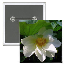 Button with delicate white Lotus Flower