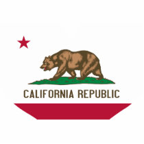 Buy California Flag Photo Sculpture