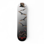 BUZZARD BOARD PRO SKATE BOARD DECK