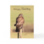 Buzzard Greeting Cards