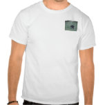 Buzzards t-shirts