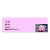 BV- Pink Lily Business Cards