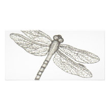 bw_dragonfly05 001 photo card template