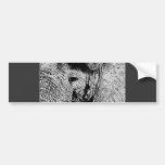BW Elephant Eye Bumper Sticker