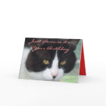 BW&MouseBday-customize