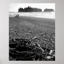 bw seaweed print
