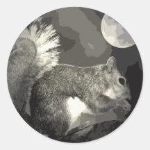 BW Squirrel & Moon Sticker