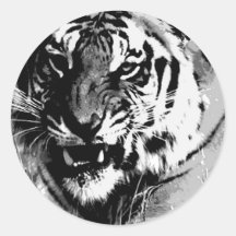 BW Tiger Round Sticker
