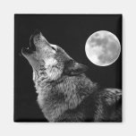 BW Wolf Howling at Moon Refrigerator Magnets