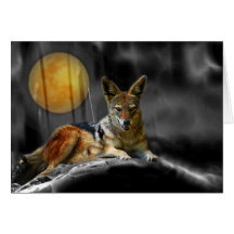 By Moonlight Greeting Card