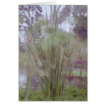 By the Water, Santa Barbara Greeting Cards