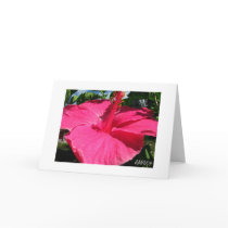 Byodo-In Temple Pink Flower cards