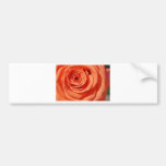BZH22-0610-45 BUMPER STICKERS