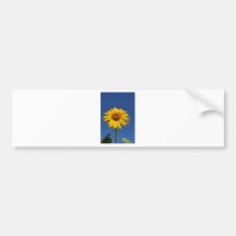 BZH22-0810-16 BUMPER STICKER