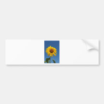 BZH22-0810-32 BUMPER STICKERS
