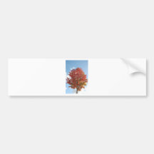 BZH22-1010-141 BUMPER STICKER