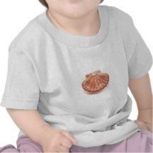 BZH22-1010-50 T SHIRTS