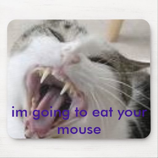 C73CA1GGHDECA1TUE44CAIGNPAICARLCQZGCAIQI378CAYV... MOUSEPAD