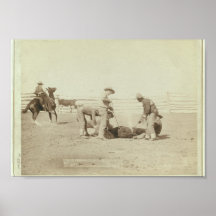 c.1888 "Branding Calves on Roundup" Poster