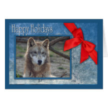 c-2011-grey-wolf-001 greeting cards