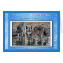 c-2011-grey-wolf-006 cards