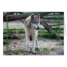 c-2011-grey-wolf-008 card