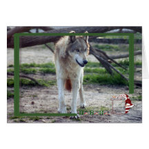 c-2011-grey-wolf-012 cards