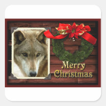 c-2011-grey-wolf-021 adhésif