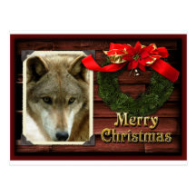 c-2011-grey-wolf-021 postcards