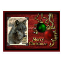 c-2011-grey-wolf-022 postcard