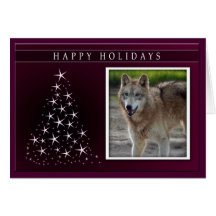 c-2011-grey-wolf-025 greeting cards