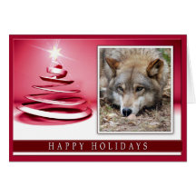 c-2011-grey-wolf-027 carte de vœux