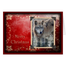 c-2011-grey-wolf-028 cards